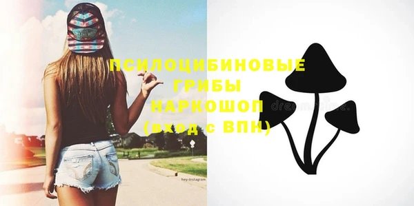 метадон Белокуриха