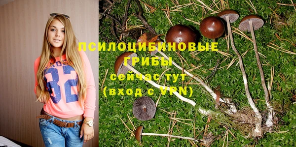 амф Беломорск