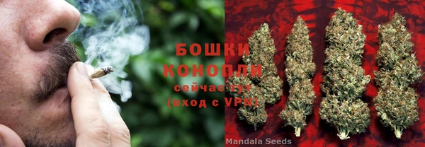 метадон Белокуриха